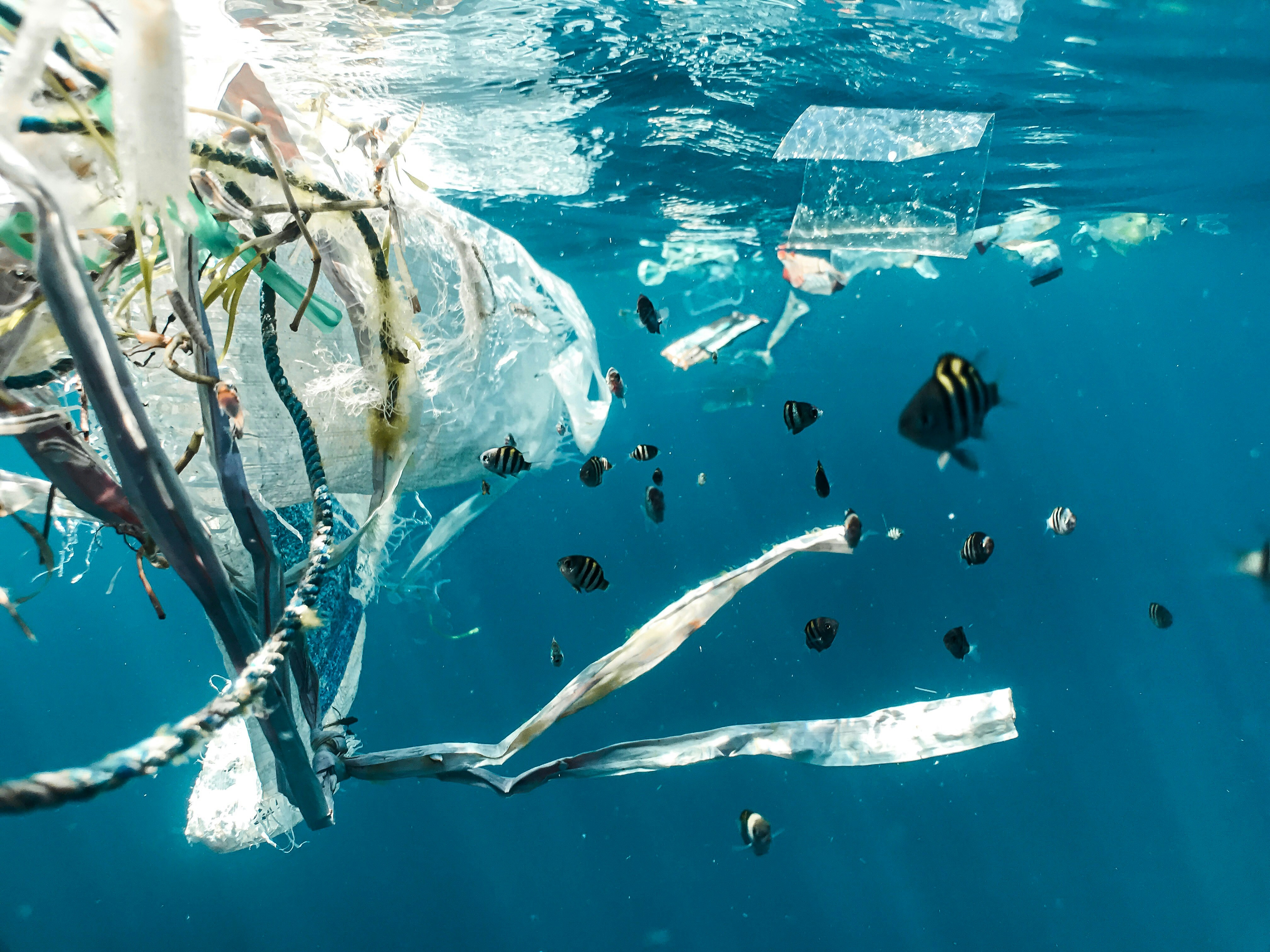 Zero Waste Projects